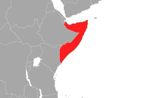 Somalia (Archiv)
