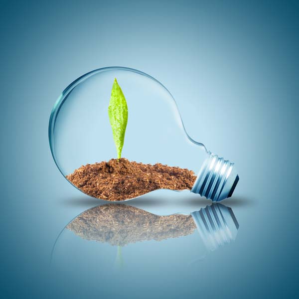 Viel Licht aus wenig Strom mit neuen Leuchtmitteln