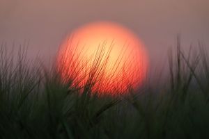 Sommerliches Wetter - Baden-Württemberg