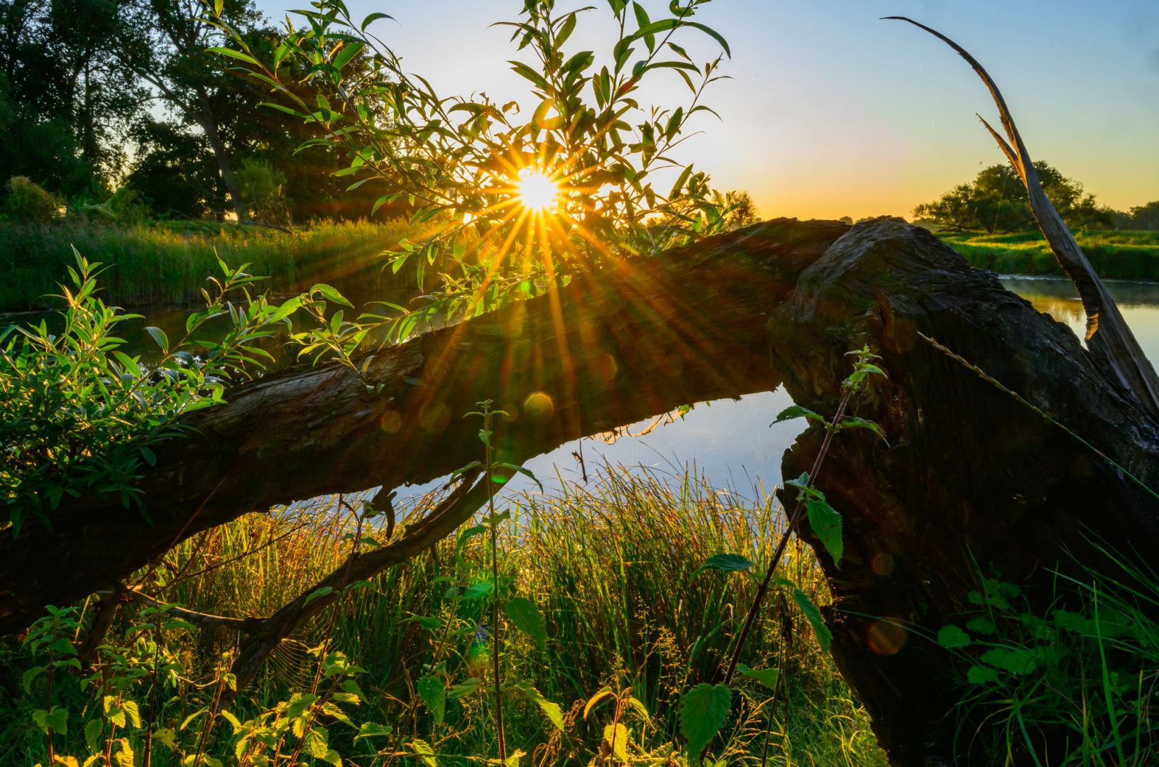 Sonnenaufgang am Fluss Oder