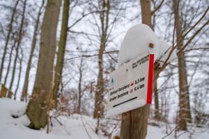 Sonnenweg im Winterzauber und Sachsenbrunnen
