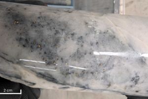 Southern Cross Gold verlängert Golden Dyke um 200 Meter in Richtung Westen