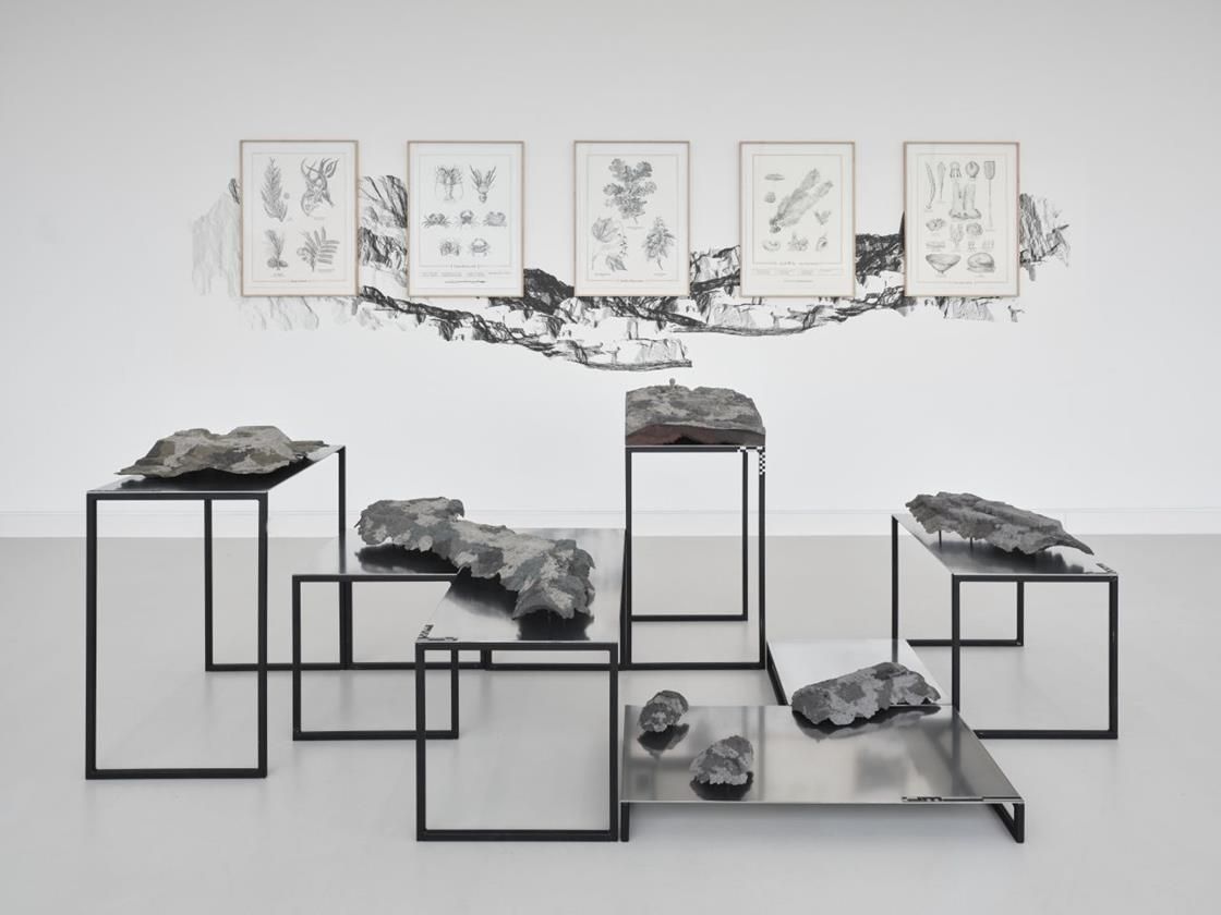 Spaziergang durch den Weisenauer Steinbruch