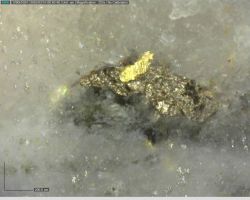 Spektakulärer Beginn der Goldbohrungen 2025!