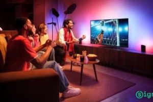 Sports Live bringt Stadion‑Atmosphäre ins Wohnzimmer und lässt Philips Hue und WiZ mitfiebern