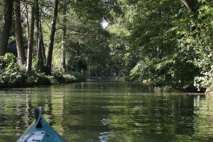 Spreewald (Archiv)