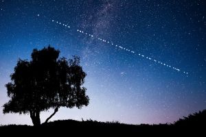 Starlink auf Eis – warum Italien Musk jetzt ausbremst