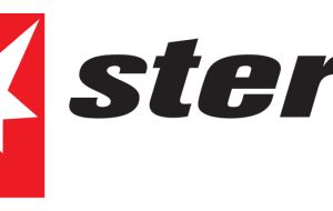 stern 13 Ausgaben gratis