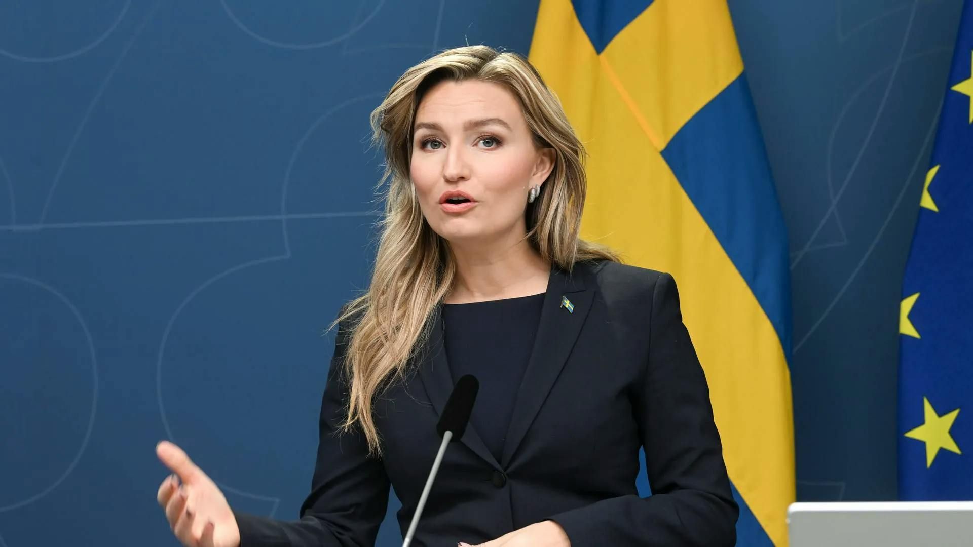 Stromkabel-Debatte: Warum Schweden Deutschlands Energiepolitik blockiert