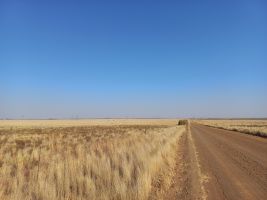 Südafrikanische Solarprojekte in Ausschreibung erfolgreich