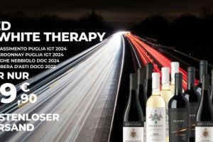 Svinando Red & White Therapy: Weinpaket mit 12 Flaschen für 39,90€