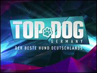 Swarovski ersetzt Wontorra bei Top Dog Germany