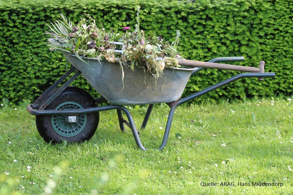 Tag der Nachbarschaft: Was im Garten erlaubt ist