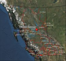 Talent Infinity stellt Update hinsichtlich Konzessionsgebiet Wildcat bereit