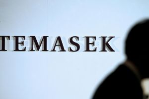 Temasek und Warburg Pincus bereiten Milliardenverkauf von GHX vor