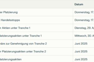 Tesoro sichert sich 11 Mio. A$ durch institutionelle Platzierung für die Entwicklung von El Zorro