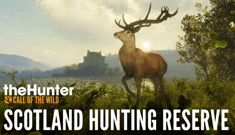 theHunter: Call of the Wild – neuer DLC bringt die schottischen Highlands