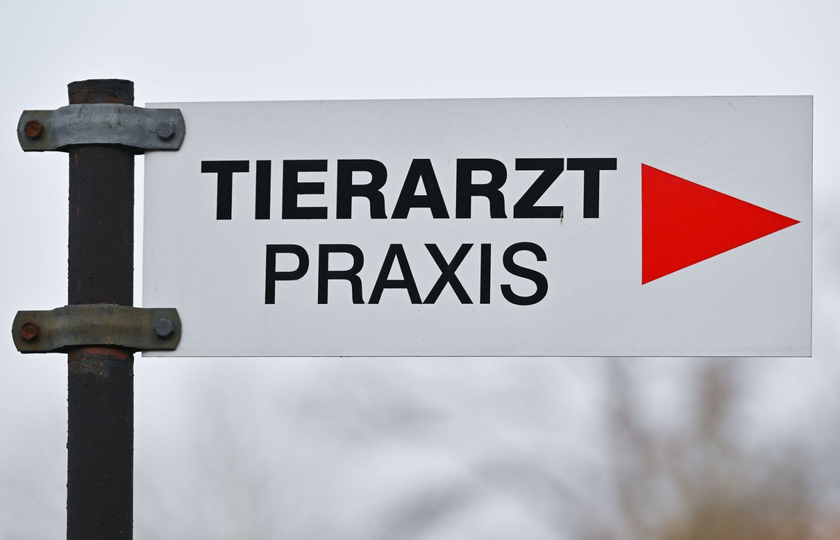 Tierarzt - Praxis