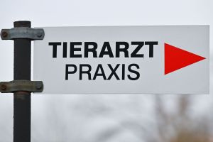 Tierarzt - Praxis