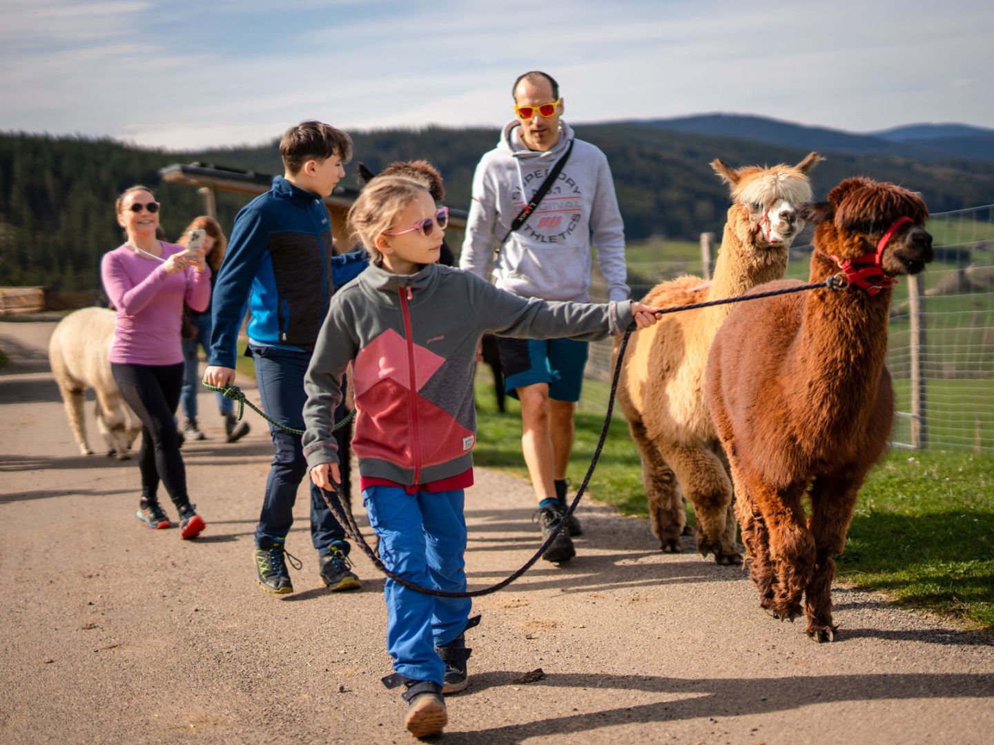 Tierisch unterwegs im Schwarzwald