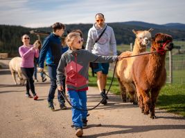 Tierisch unterwegs im Schwarzwald