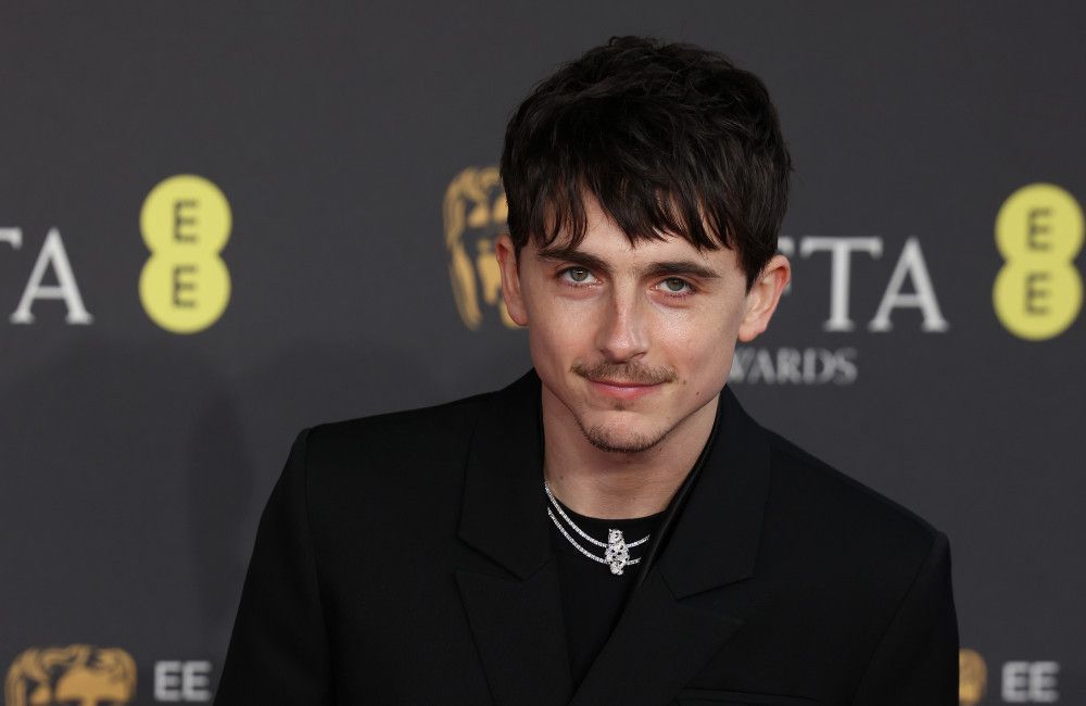 Timothée Chalamet geht in dieser Awards-Saison kein Risiko ein.