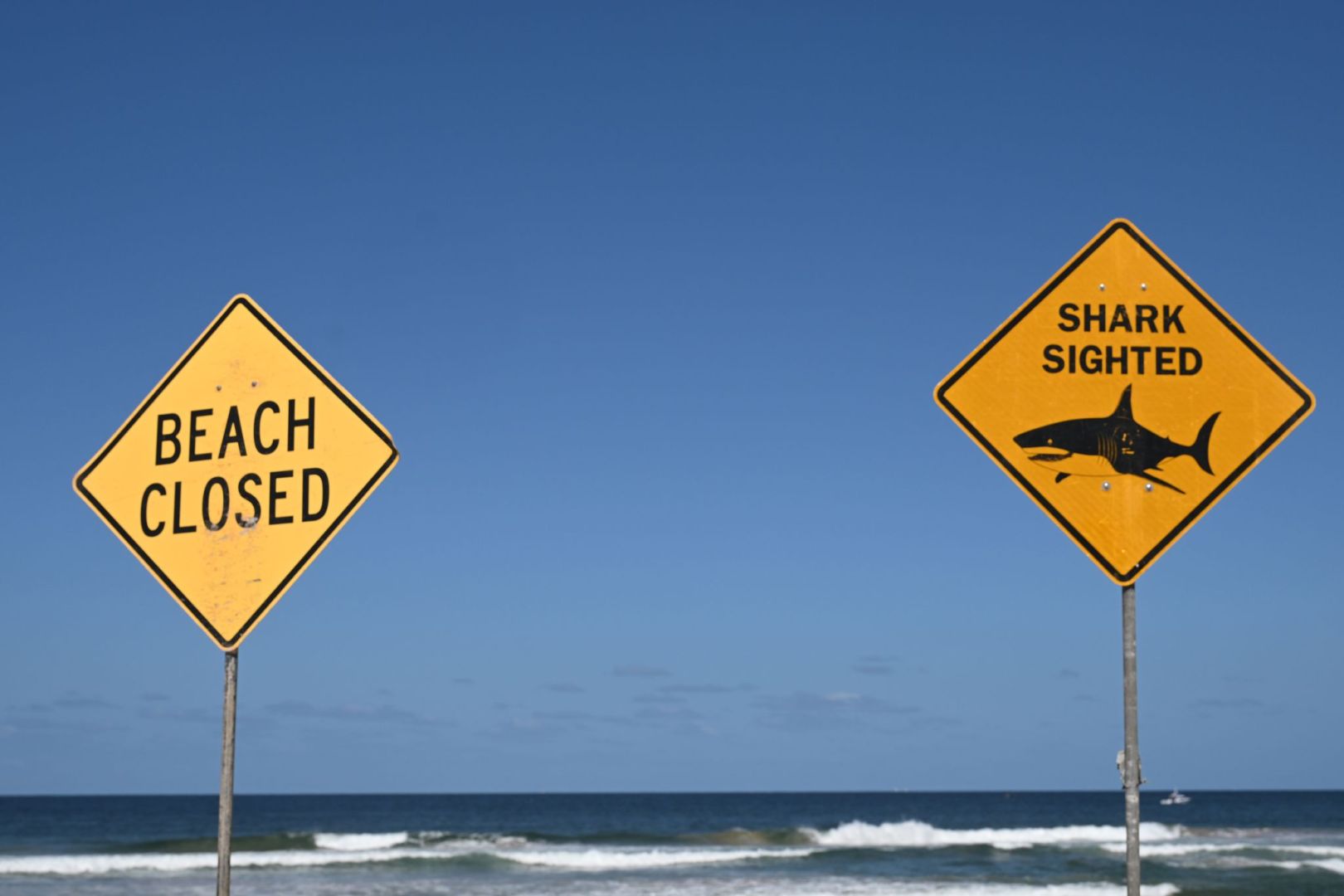 Tödlicher Hai-Angriff vor australischer Ostküste