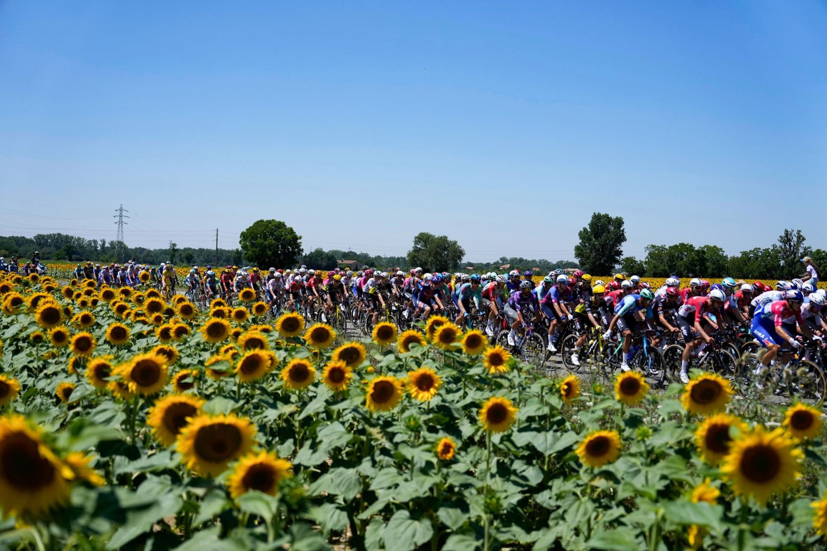 Tour de France