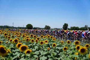 Tour de France