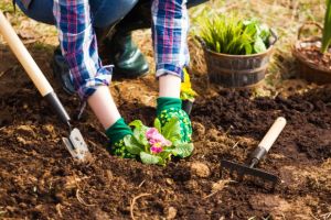 Trends für Garten und Umwelt