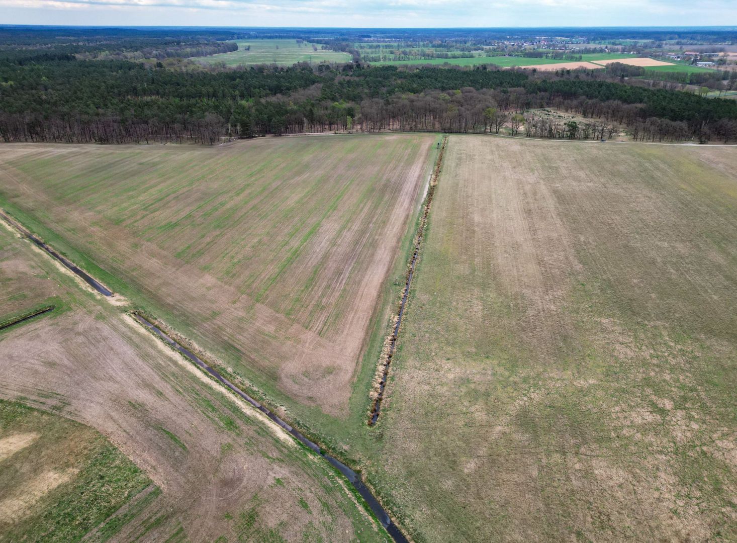 Trockenheit in Brandenburg