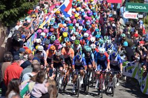 UCI WorldTour - Flèche Wallonne