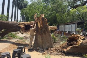 Unwetter in Indien