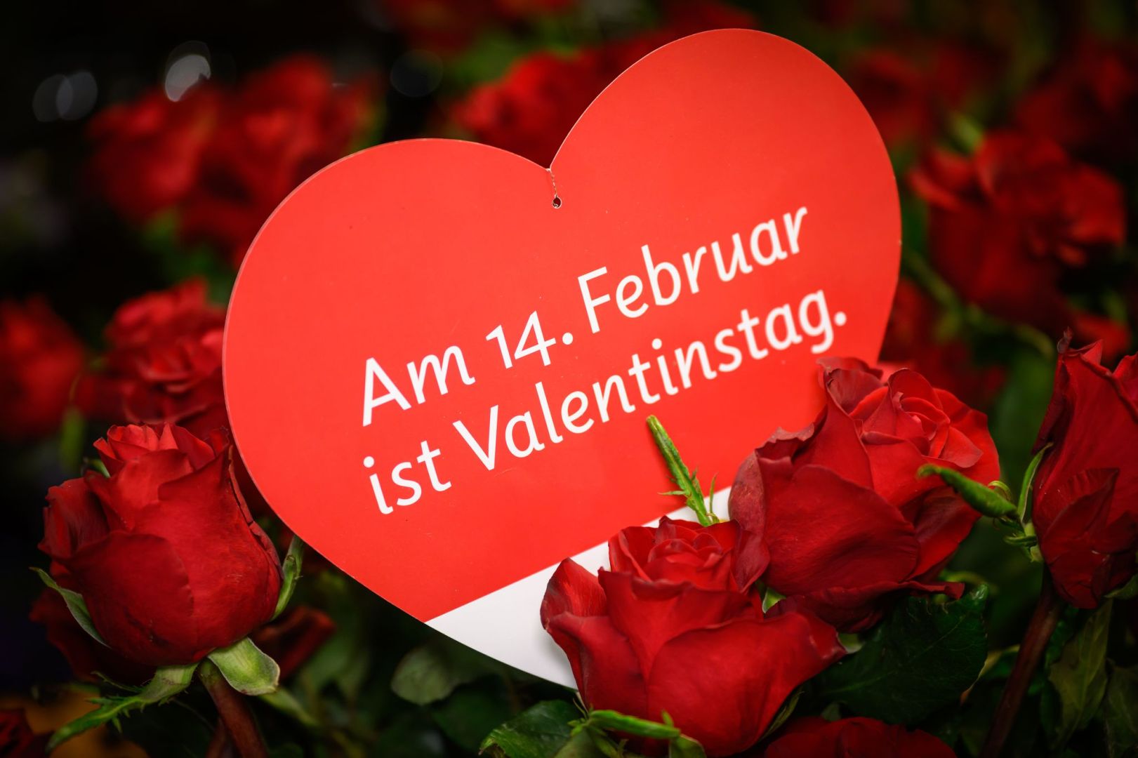 Valentinstag 14.2.