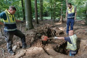 Verdacht auf Raubgrabung an jungsteinzeitlichem Grabhügel