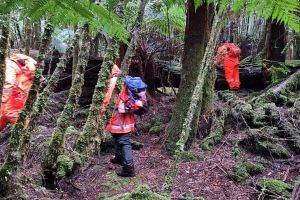 Vermisste belgische Backpackerin auf Tasmanien identifiziert