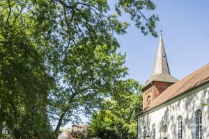 Vielfältig unterwegs auf dem Mönchsweg – Von stiller Natur bis zu lebendigen Städtchen