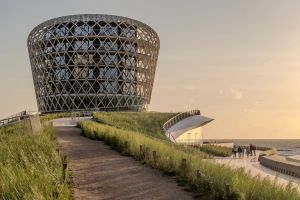 Vom Strand aufs Gründach.