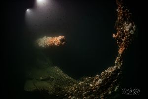 Von deutschem U-Boot versenkt: Forscher tauchen zu Wrack