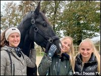 VOX bringt «Die Pferdeprofis» zurück