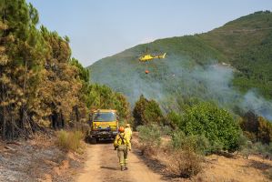 Waldbrände in Spanien