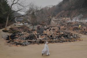 Waldbrände in Südkorea
