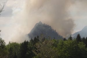 Waldbrand am Saurüsselkopf