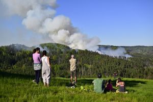 Waldbrand im Nationalpark Böhmische Schweiz