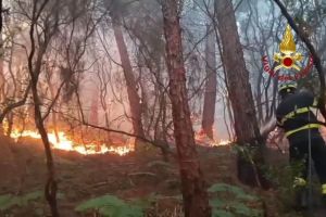Waldbrand in der Toskana