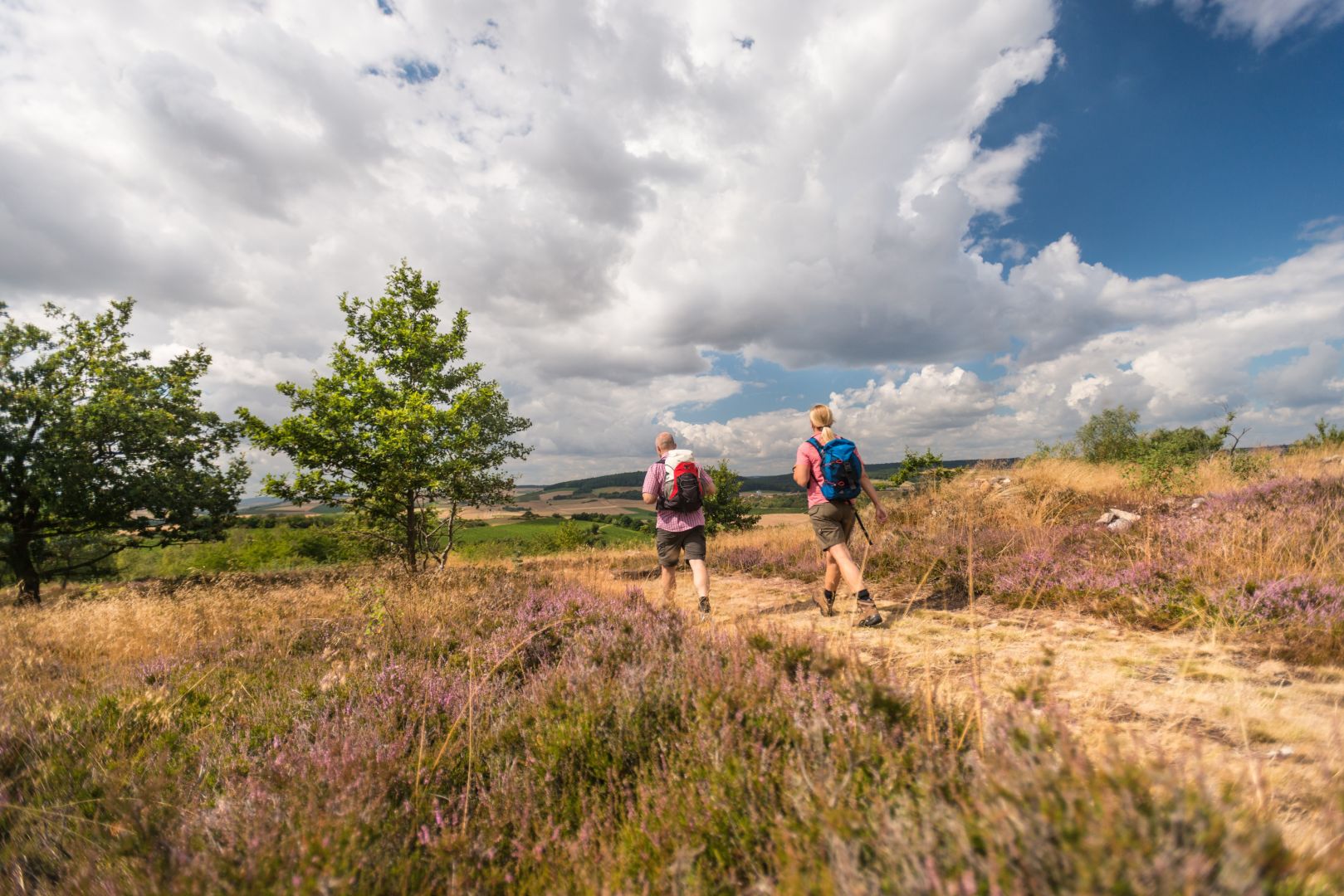 Wandertipp für den Herbst in Rheinhessen