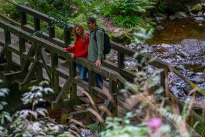 Wanderung nach Goslar