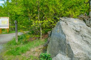 Wanderung zum Café Goldberg