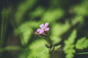 Wanderung zum Café Winuwuk