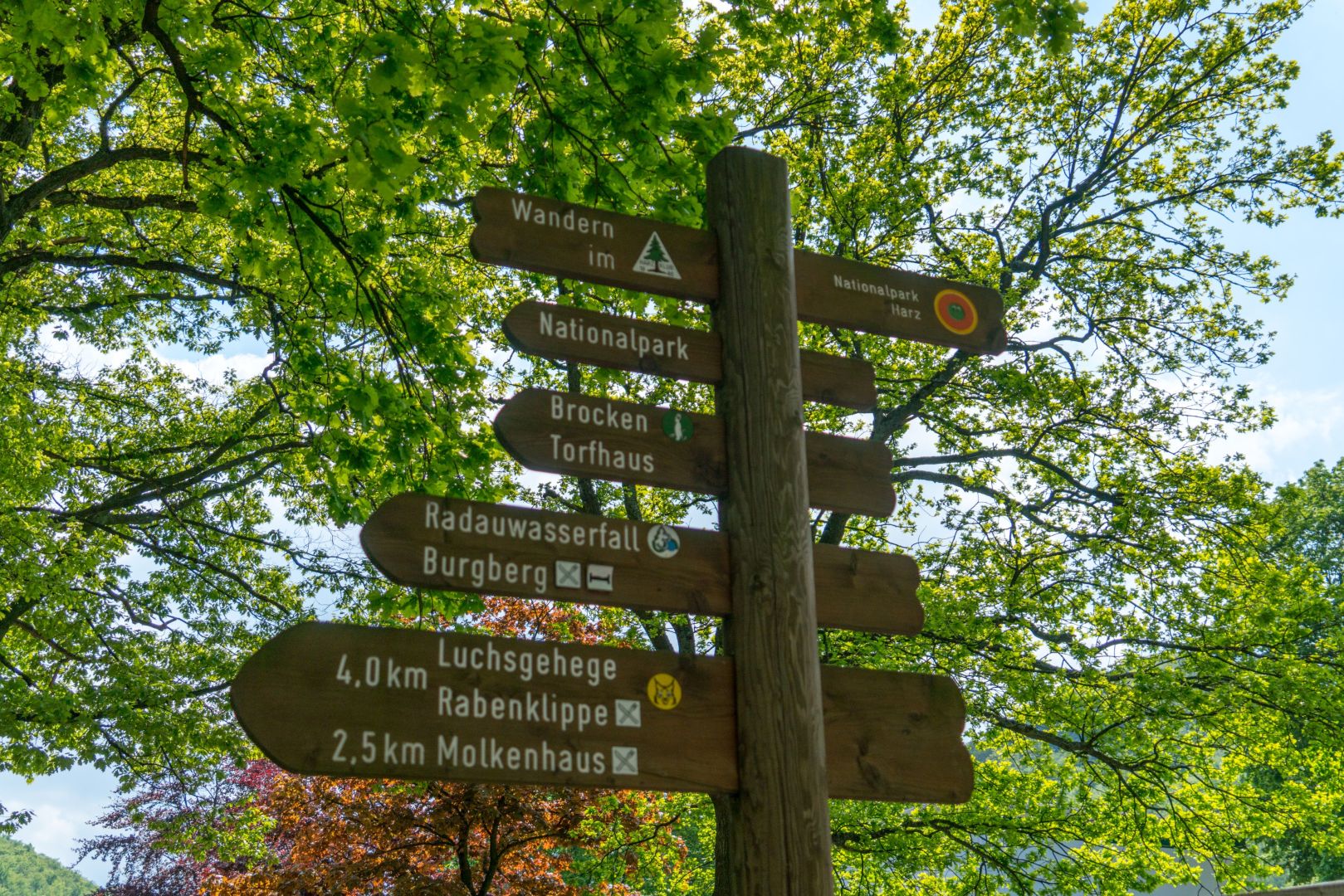 Wanderung zur Canossasäule über Rudolfklippe